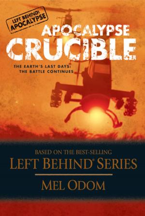 Cover of the book Apocalypse Crucible by Jolina Petersheim