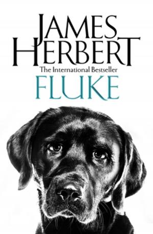 Cover of the book Fluke by Rupert Fawcett