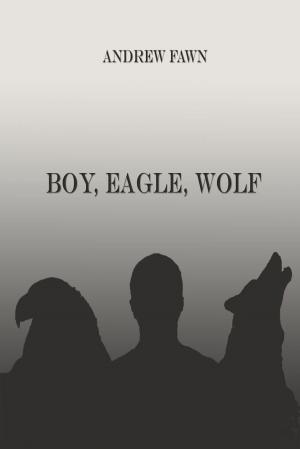 Cover of the book Boy Eagle Wolf by BuzzzzOff, Buddy