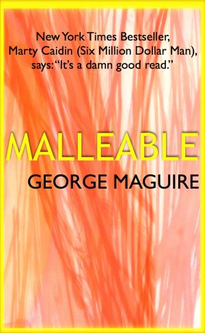Cover of the book Malleable by Jen J. Danna with Ann Vanderlaan
