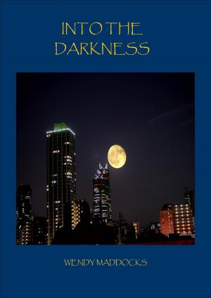 Cover of the book Into the darkness by T.S. Valmond