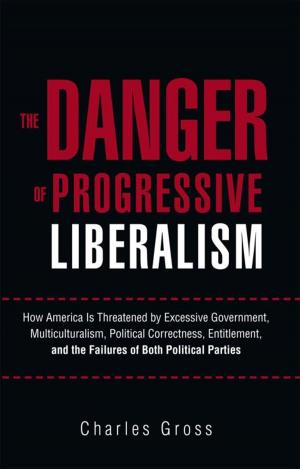 Cover of the book The Danger of Progressive Liberalism by DJ Shy, Michael Robert Hartman