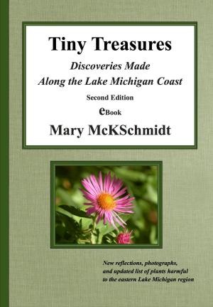 Cover of Tiny Treasures