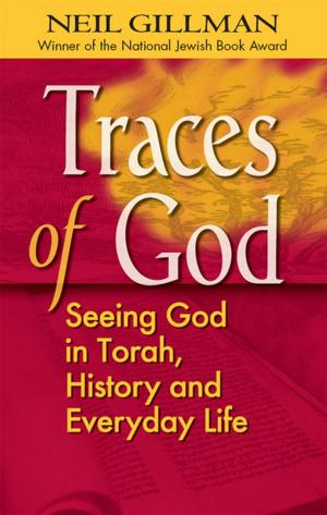 Cover of the book Traces of God by Karen Miller-Kovach