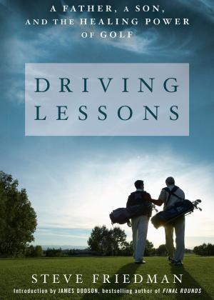 Cover of the book Driving Lessons by Leopole A. McLaughlin III