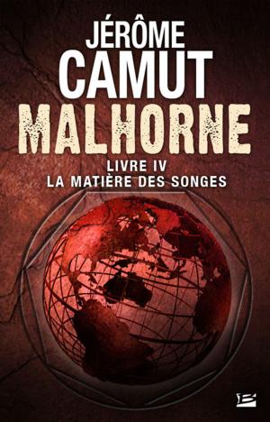 Cover of the book La Matière des songes by Richard Sapir, Warren Murphy