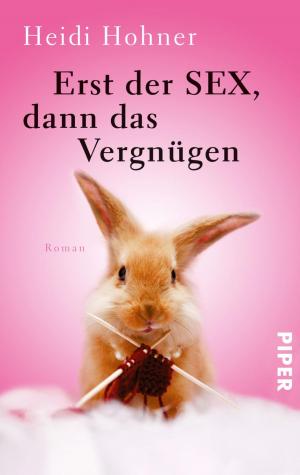 Cover of the book Erst der Sex, dann das Vergnügen by Andreas von Bülow