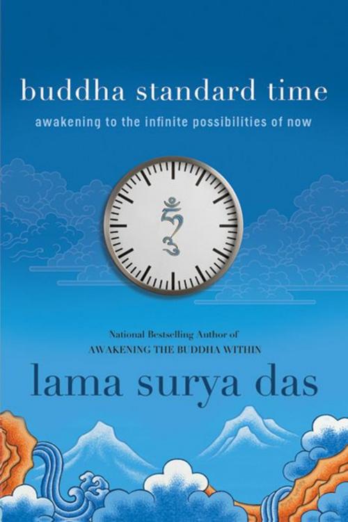 Cover of the book Buddha Standard Time by Surya Das, HarperOne