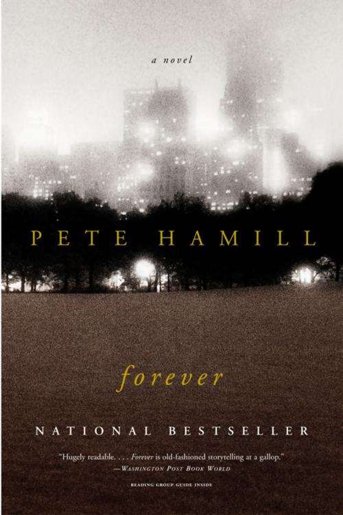 Cover of the book Forever by Pete Hamill, Little, Brown and Company