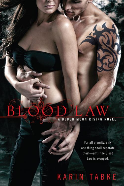 Cover of the book Blood Law by Karin Tabke, Penguin Publishing Group