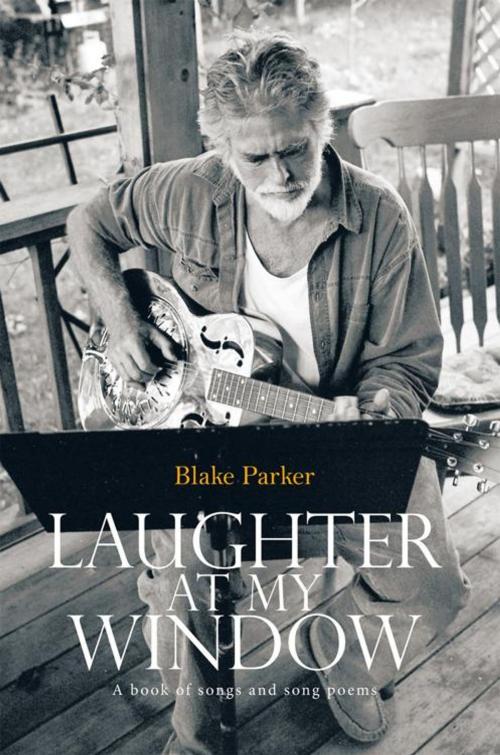 Cover of the book Laughter at My Window by Blake Parker, Trafford Publishing