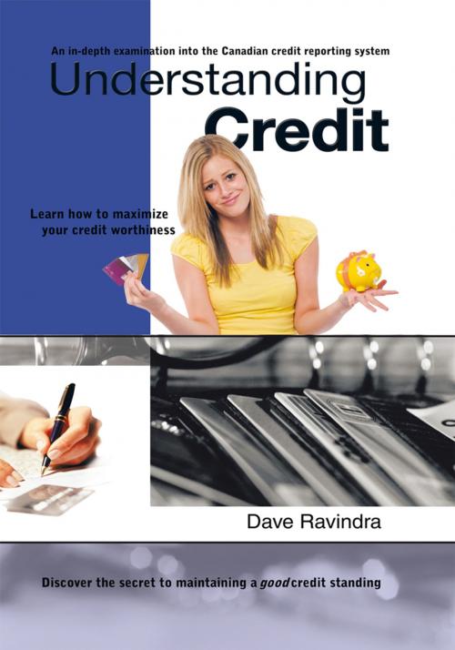 Cover of the book Understanding Credit by Dave Ravindra, Trafford Publishing