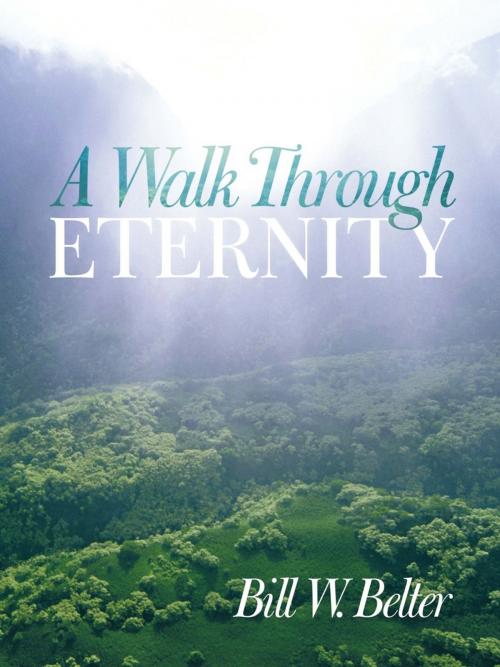 Cover of the book A Walk Through Eternity by Bill W. Belter, WestBow Press