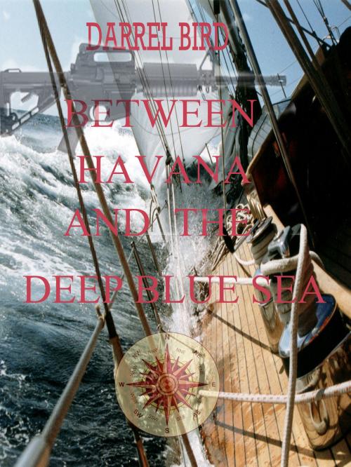 Cover of the book Between Havana and The Deep Blue Sea by Darrel Bird, Darrel Bird