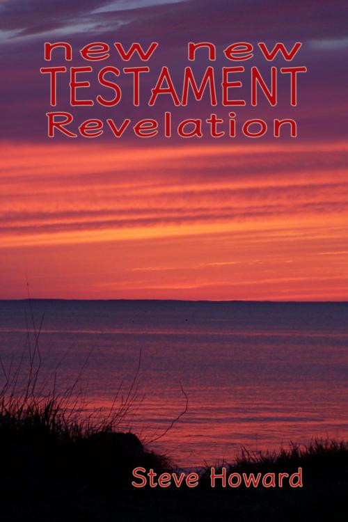 Cover of the book New New Testament Revelation by Steve Howard, Steve Howard