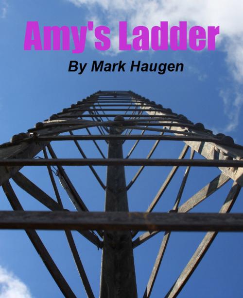 Cover of the book Amy's Ladder by Mark Haugen, Mark Haugen
