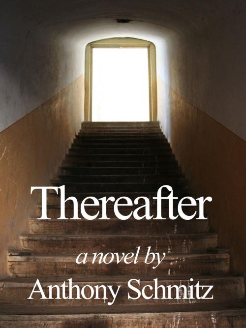 Cover of the book Thereafter by Anthony Schmitz, Anthony Schmitz
