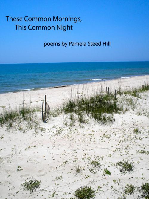 Cover of the book These Common Mornings, This Common Night by Pamela Steed Hill, Pamela Steed Hill