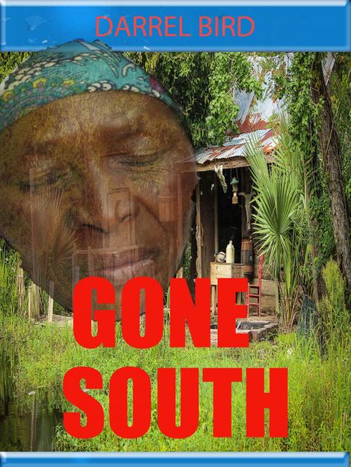 Cover of the book Gone South by Darrel Bird, Darrel Bird