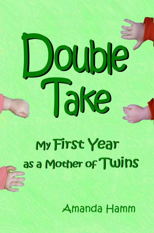 Cover of the book Double Take: My First Year as a Mother of Twins by Amanda Hamm, Before Someday Publishing