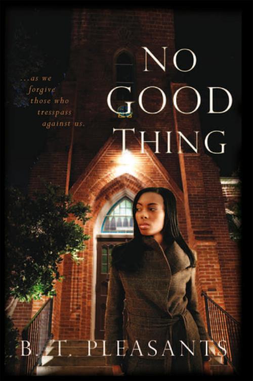 Cover of the book No Good Thing by B. T. Pleasants, Xlibris US