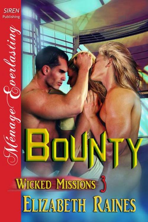 Cover of the book Bounty by Elizabeth Raines, SirenBookStrand