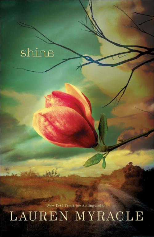 Cover of the book Shine by Lauren Myracle, ABRAMS