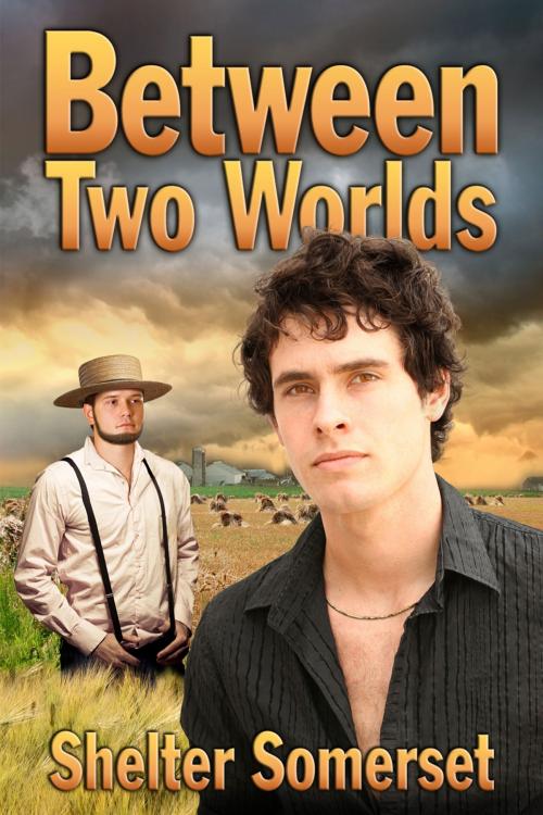 Cover of the book Between Two Worlds by Shelter Somerset, Dreamspinner Press