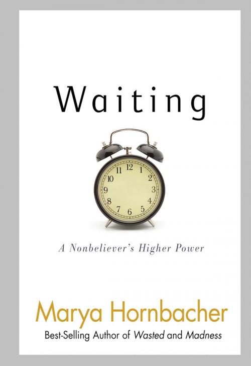 Cover of the book Waiting by Marya Hornbacher, Hazelden Publishing