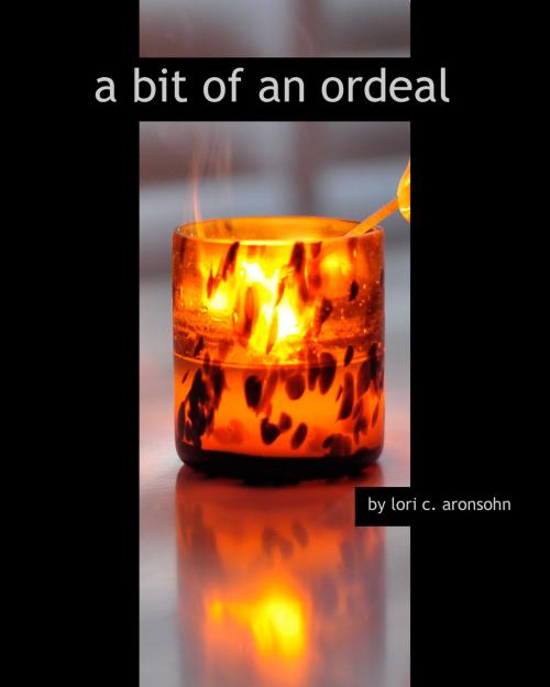 Cover of the book A Bit Of An Ordeal by Lori Coulter Aronsohn, BookBaby