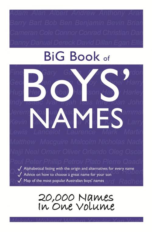 Cover of the book Big Book of Boys Names by John Ward, Woodslane Press