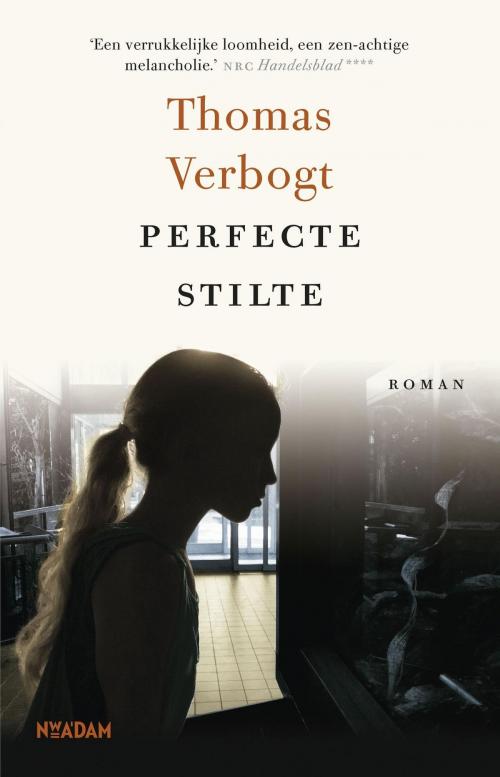 Cover of the book Perfecte stilte by Thomas Verbogt, Nieuw Amsterdam