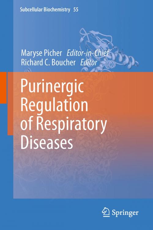 Cover of the book Purinergic Regulation of Respiratory Diseases by , Springer Netherlands