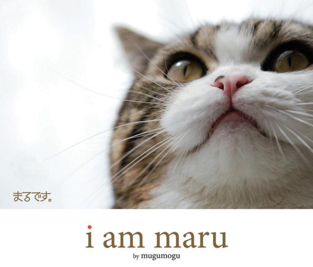 Big bigCover of I Am Maru