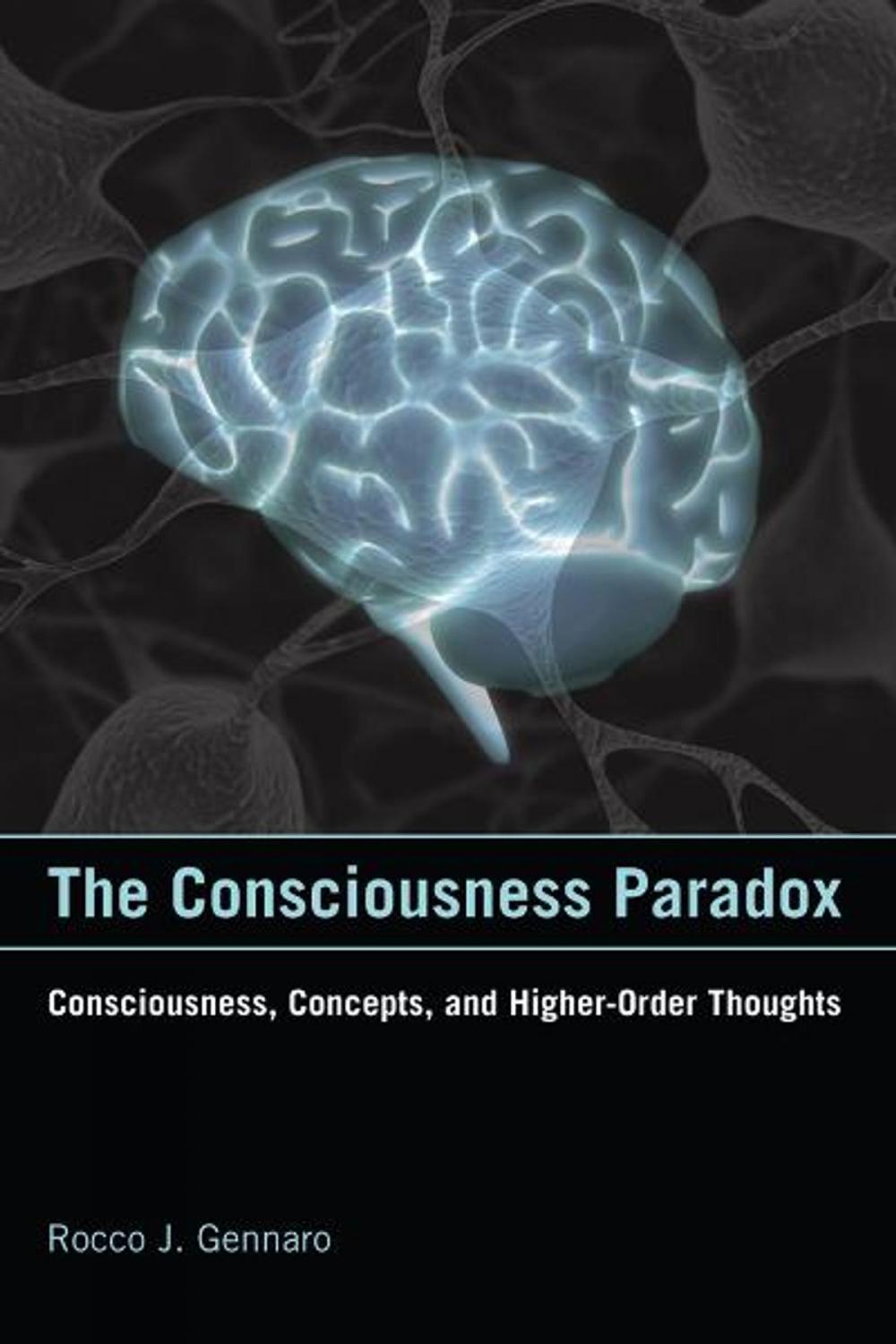 Big bigCover of The Consciousness Paradox