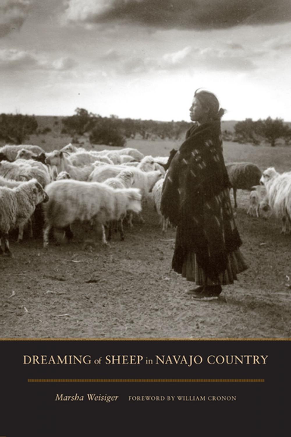 Big bigCover of Dreaming of Sheep in Navajo Country