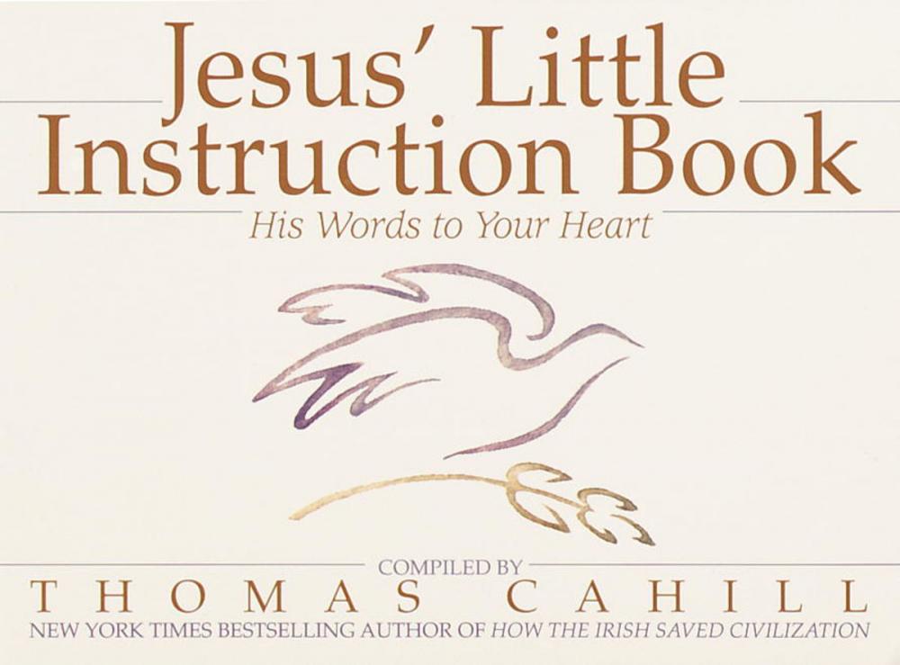 Big bigCover of Jesus' Little Instruction Book