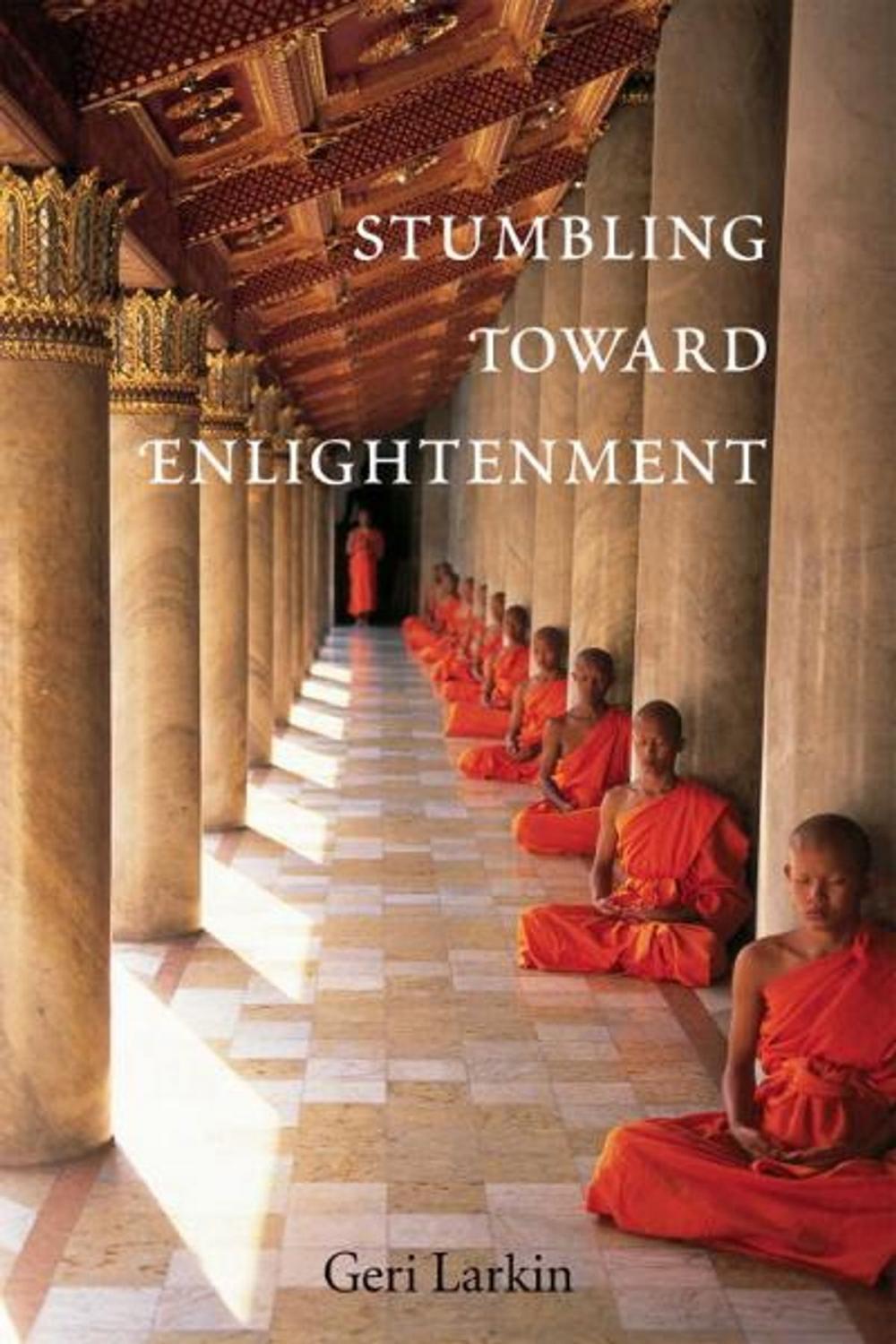 Big bigCover of Stumbling Toward Enlightenment