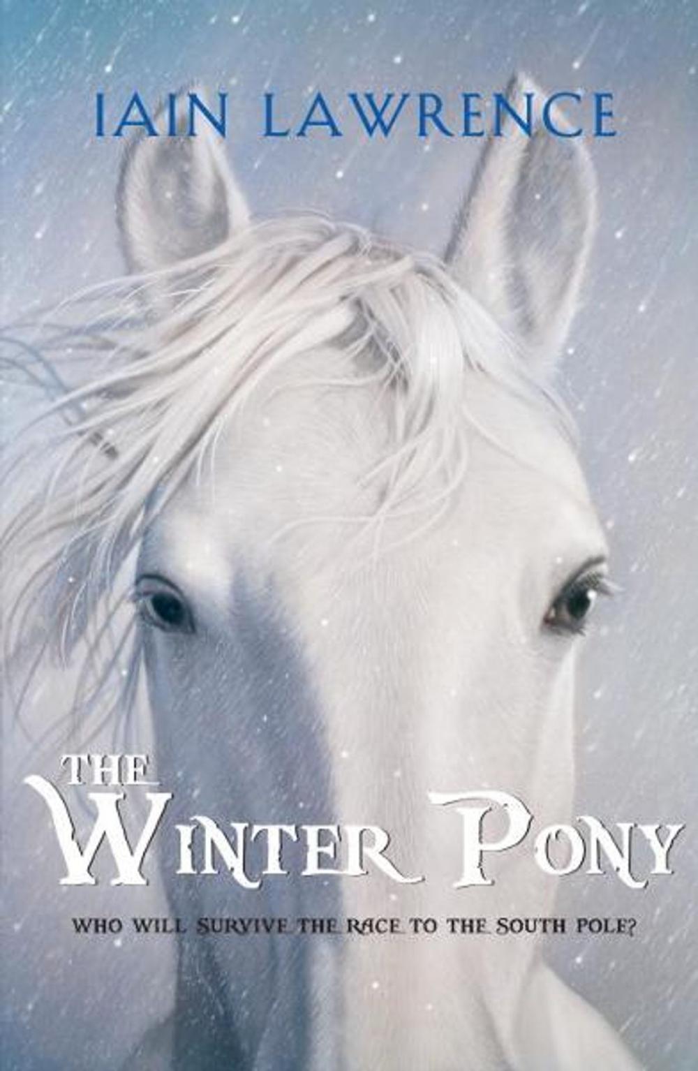 Big bigCover of The Winter Pony