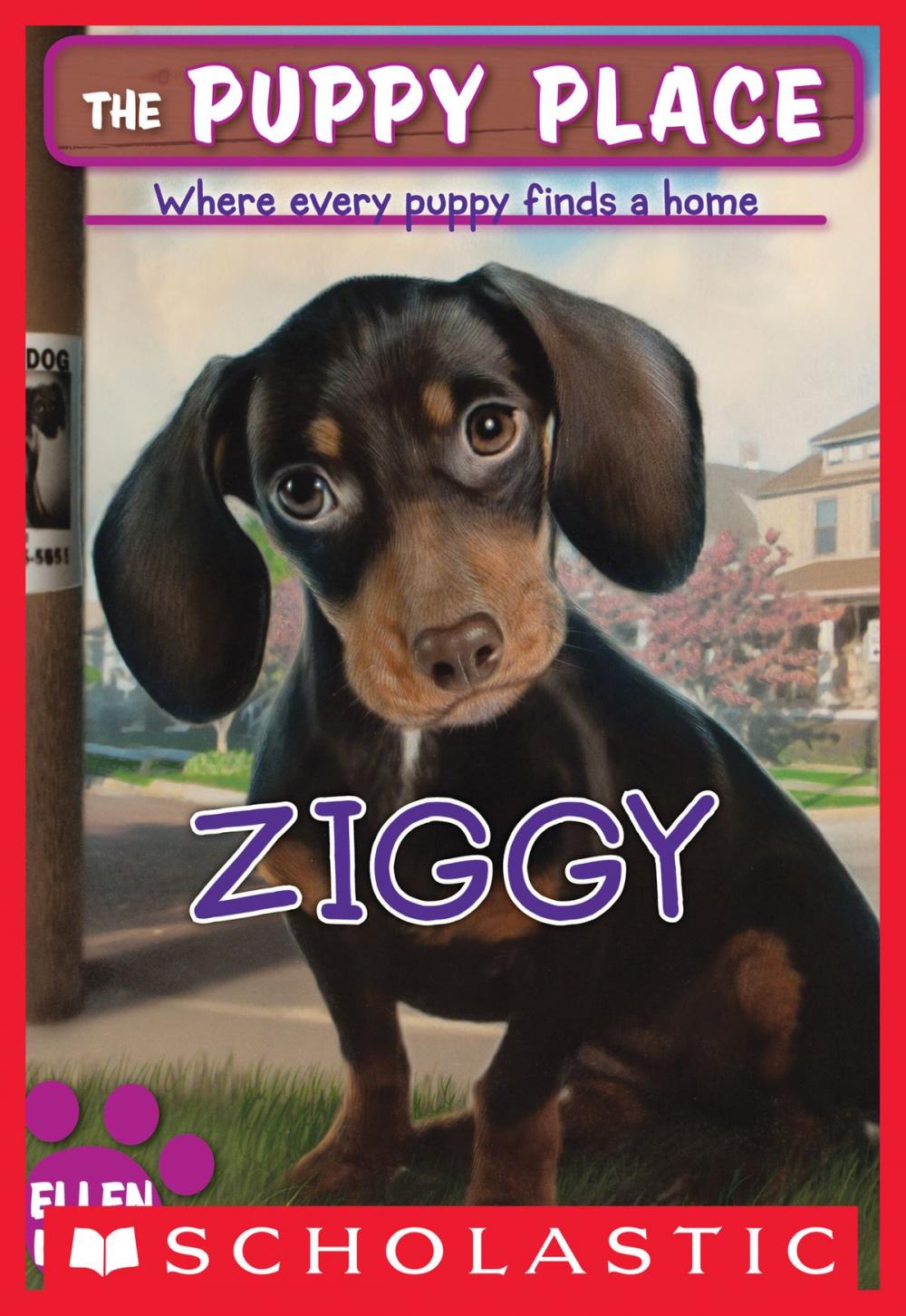 Big bigCover of The Puppy Place #21: Ziggy