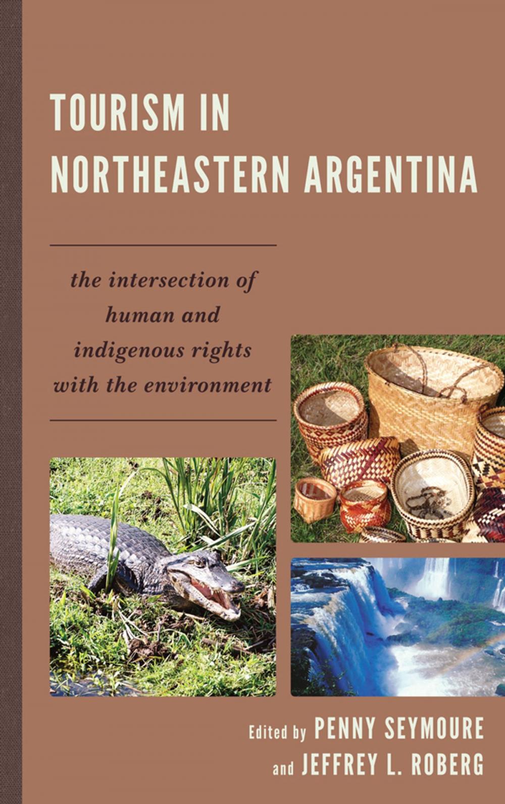 Big bigCover of Tourism in Northeastern Argentina