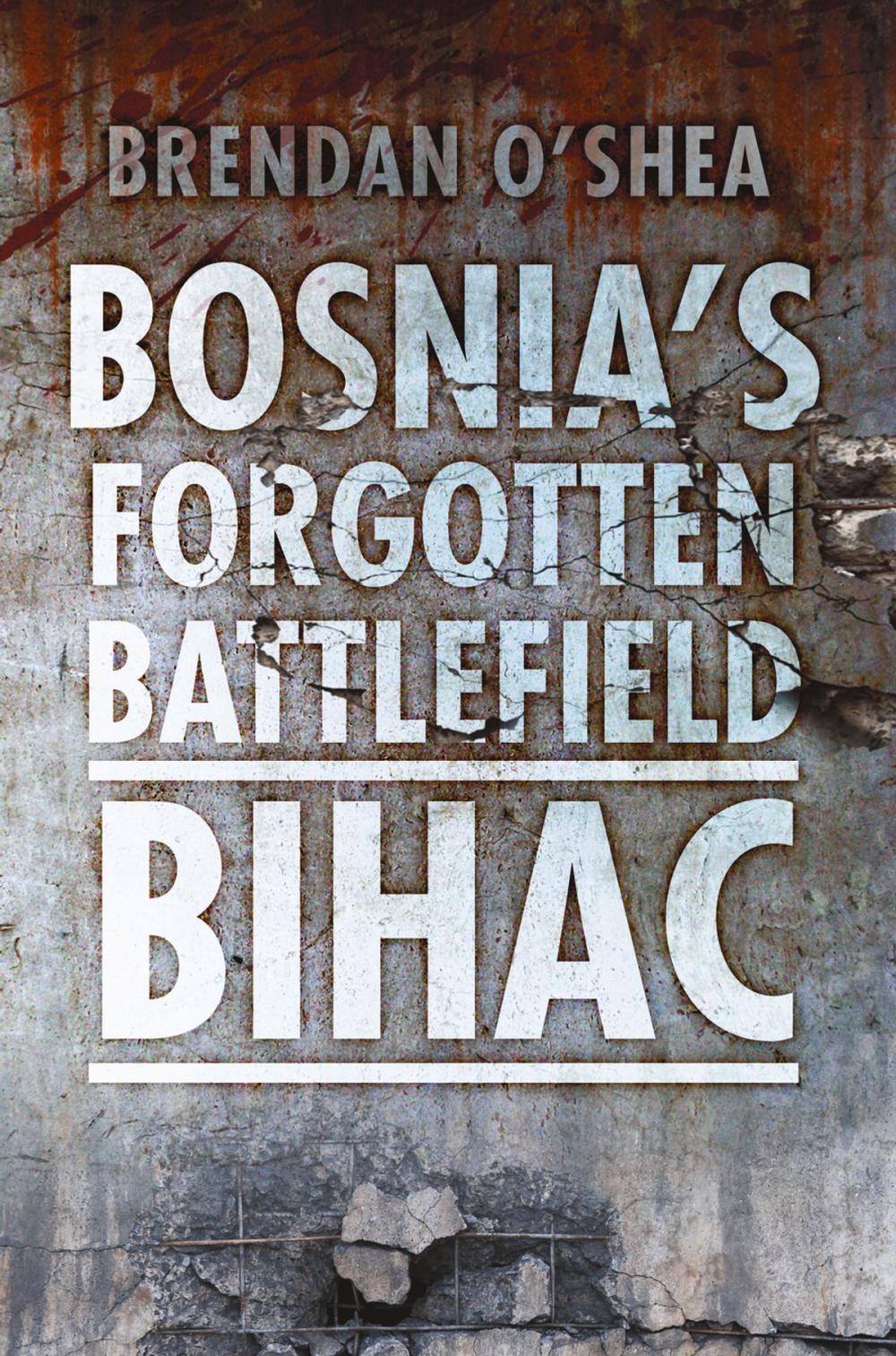 Big bigCover of Bosnia's Forgotten Battlefield