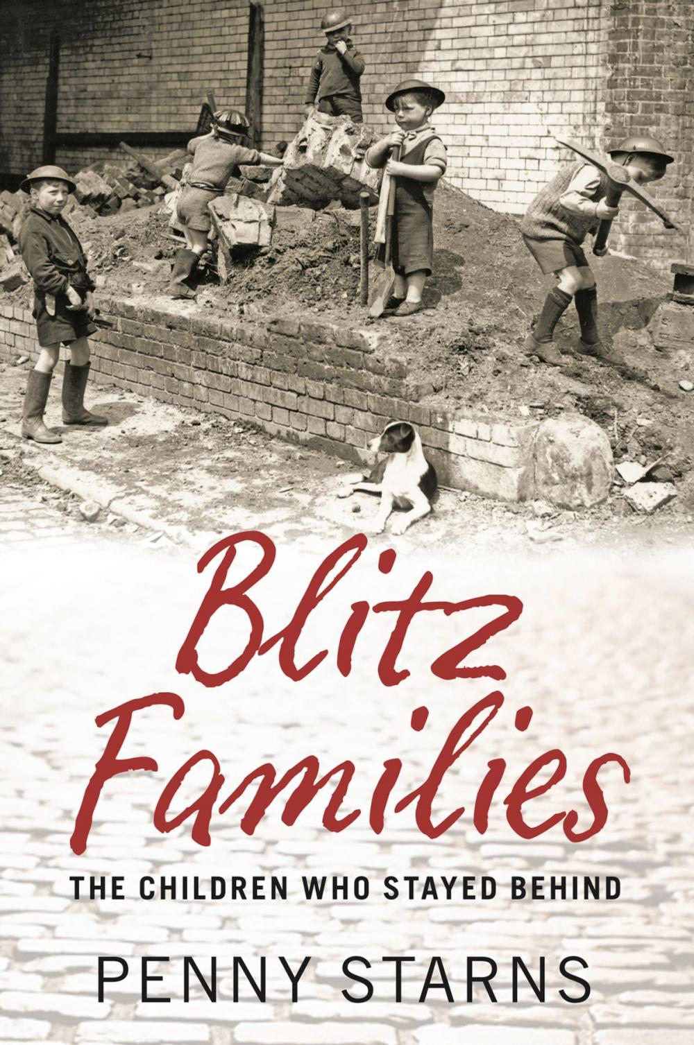 Big bigCover of Blitz Families