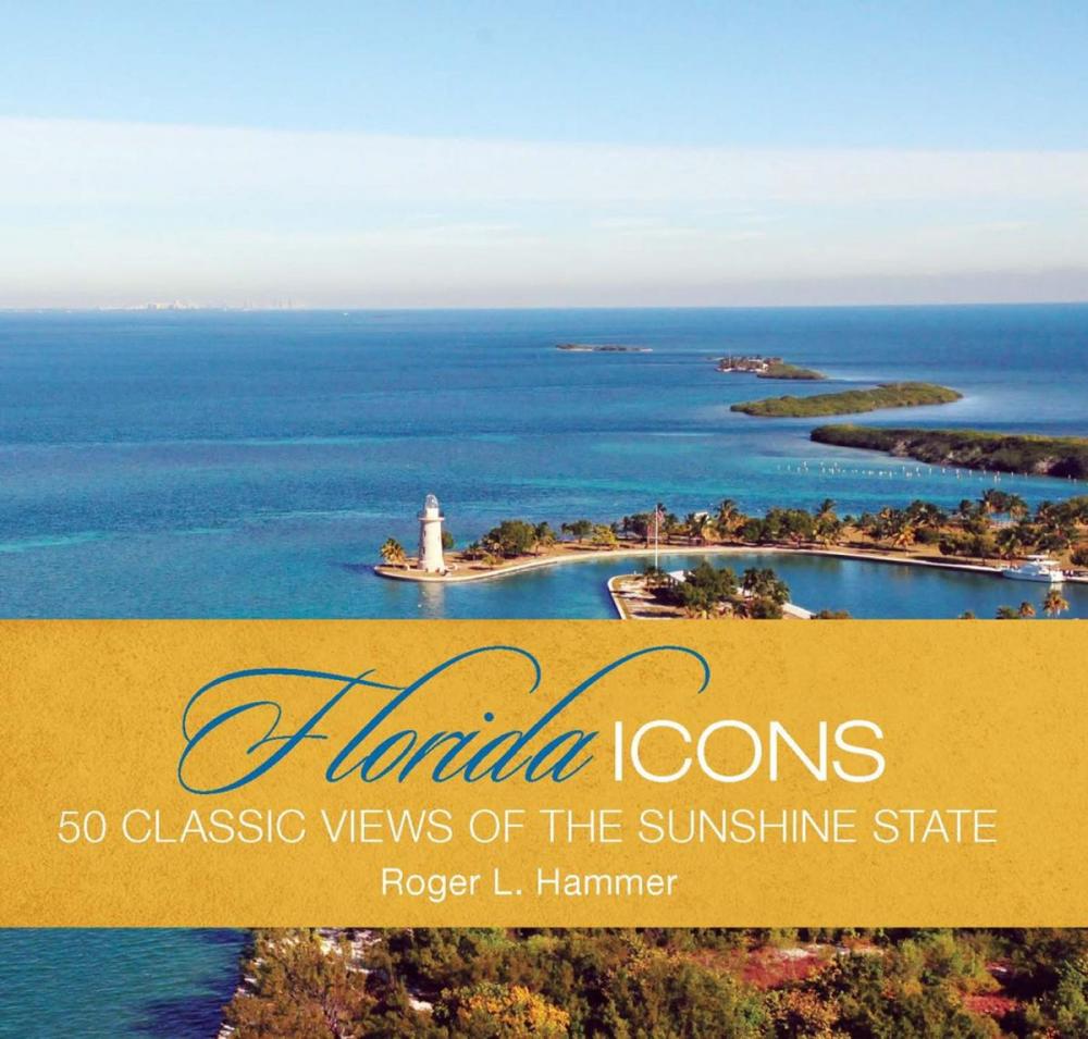 Big bigCover of Florida Icons