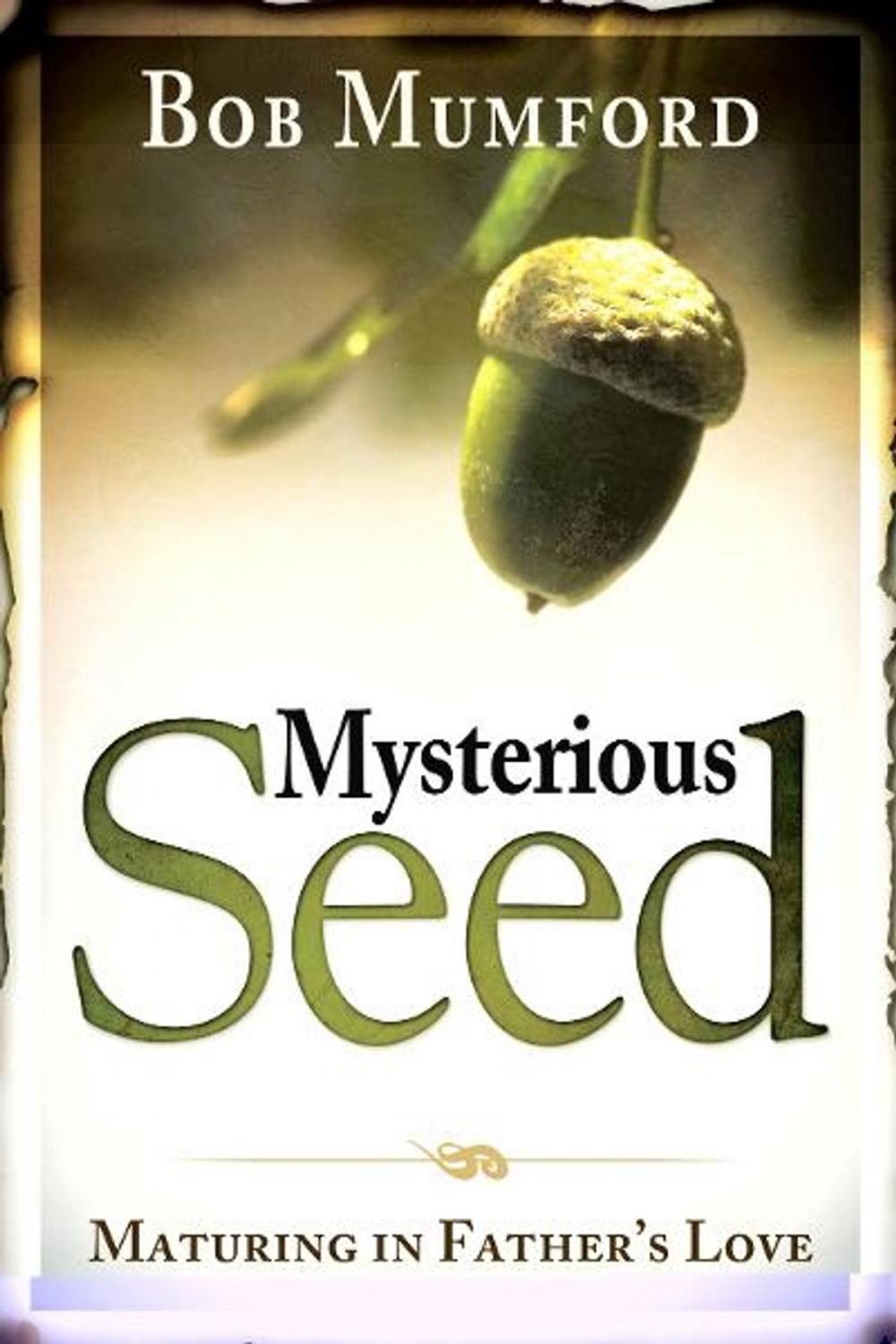 Big bigCover of Mysterious Seed: Maturing in Father's Love