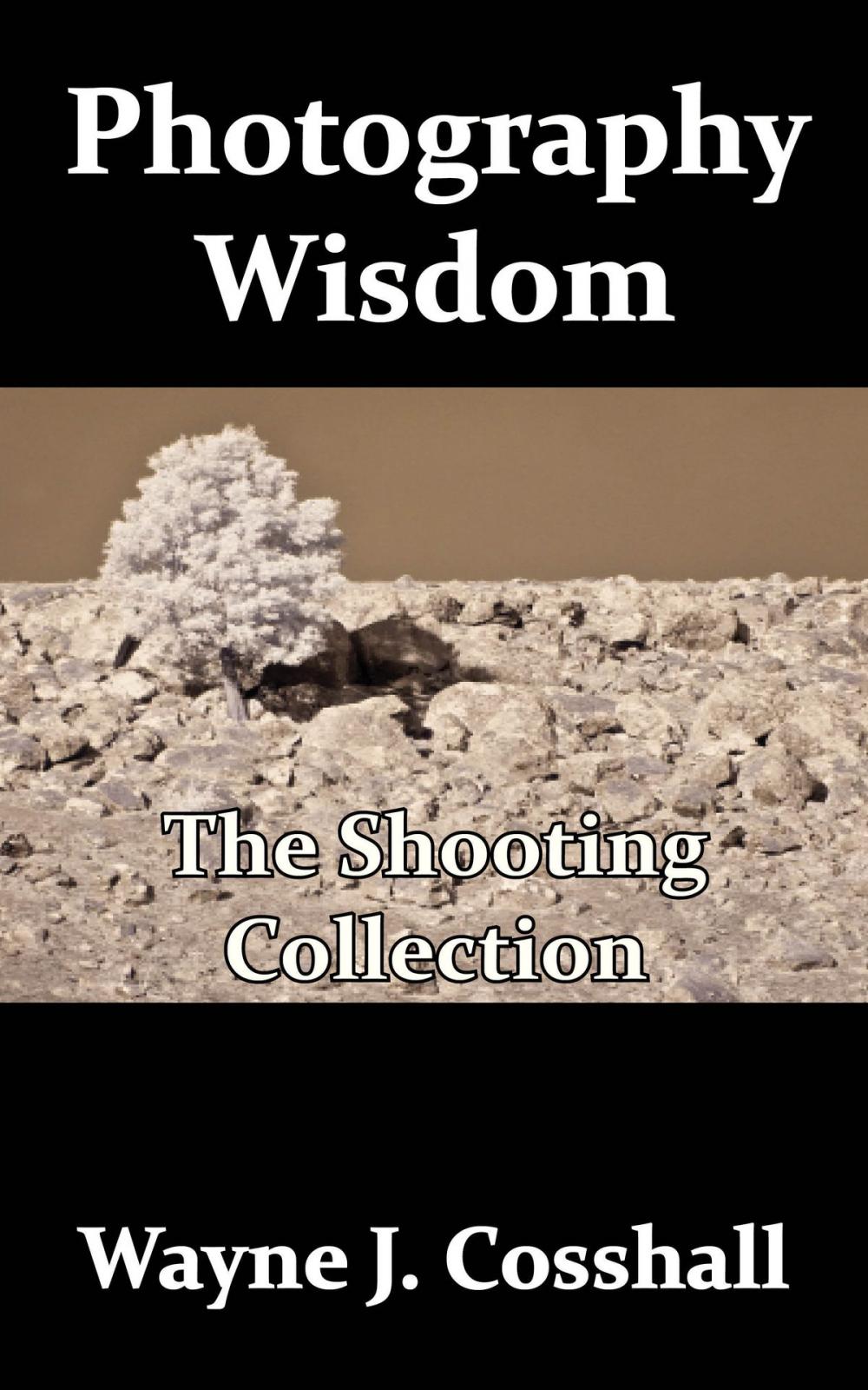 Big bigCover of Photography Wisdom: The Shooting Collection