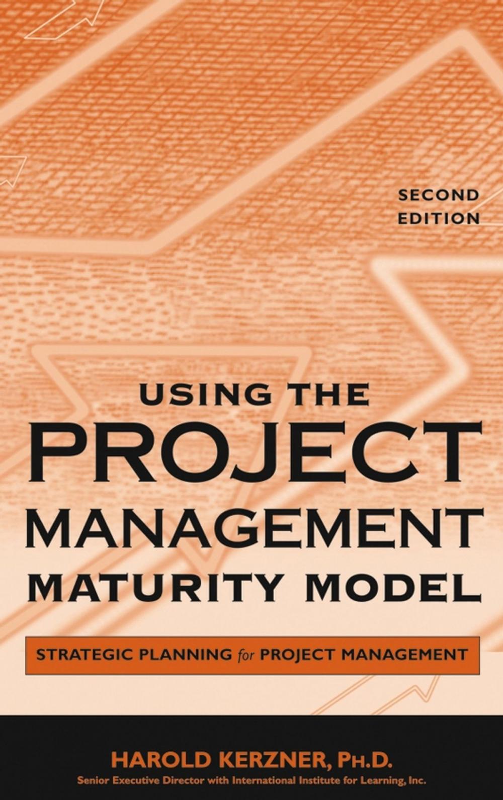 Big bigCover of Using the Project Management Maturity Model