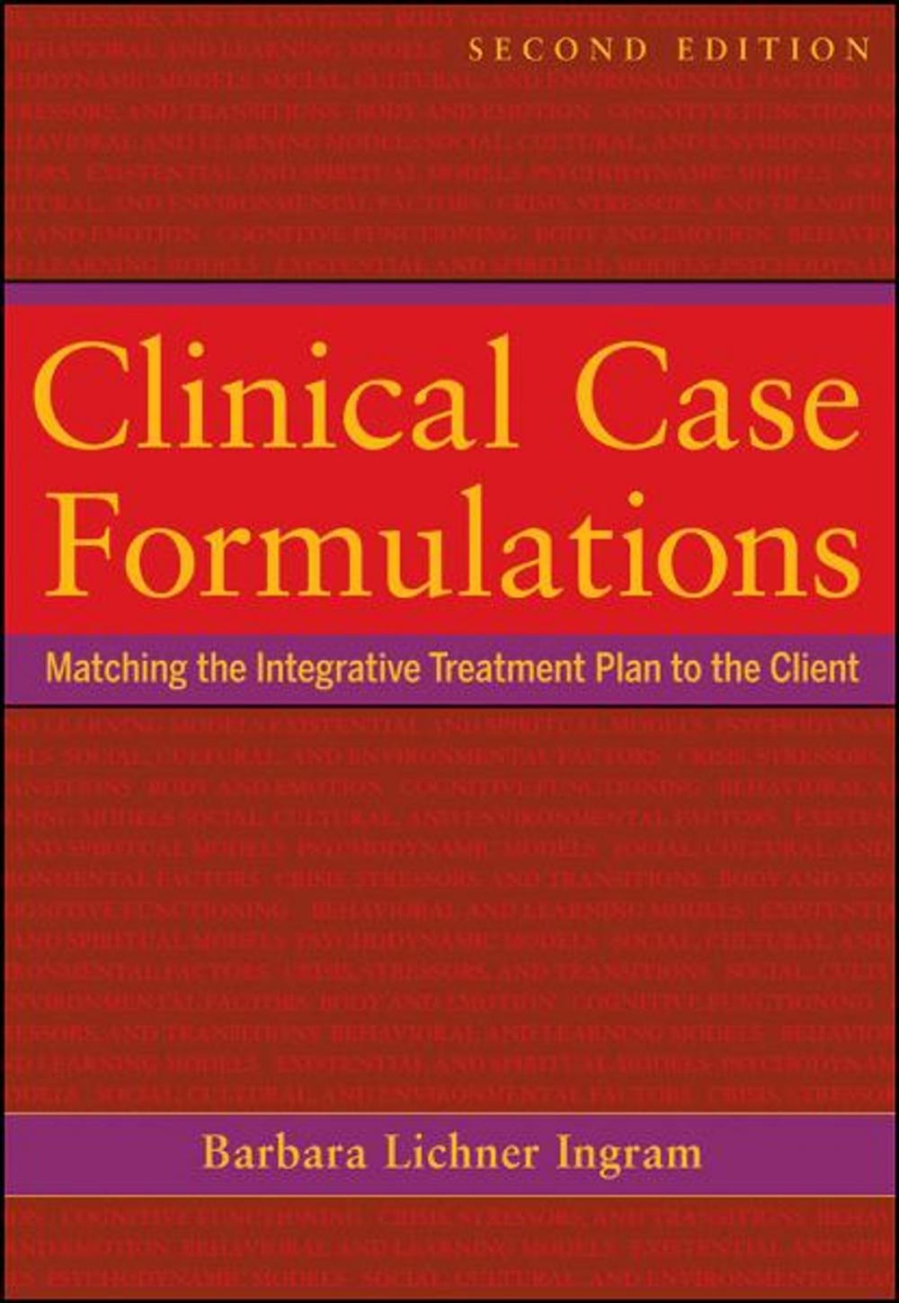 Big bigCover of Clinical Case Formulations