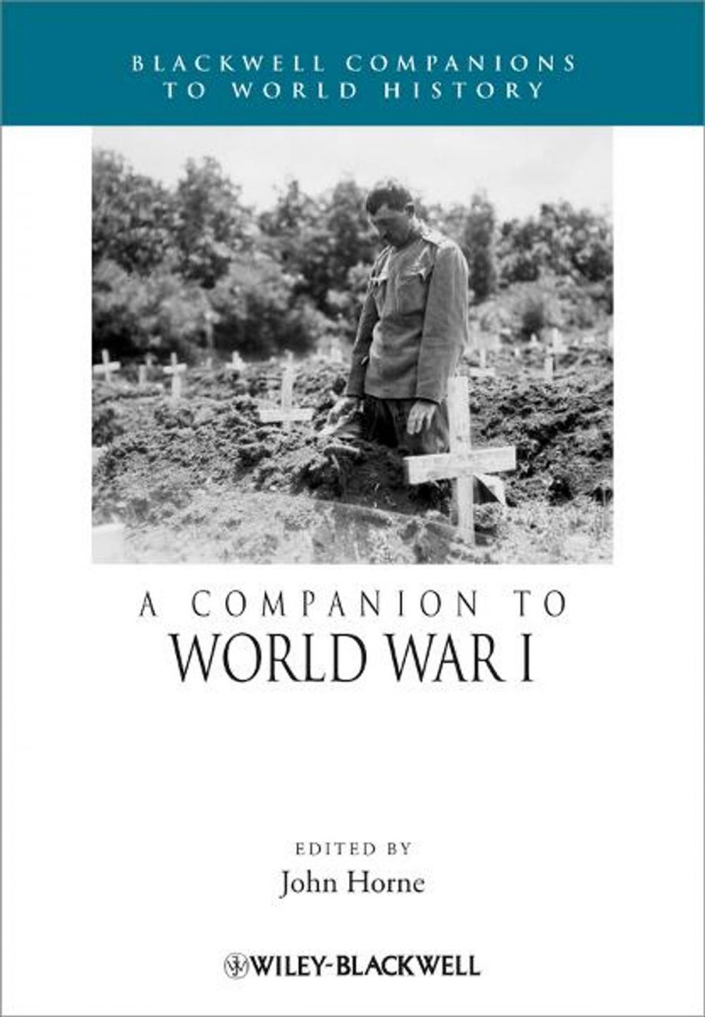 Big bigCover of A Companion to World War I