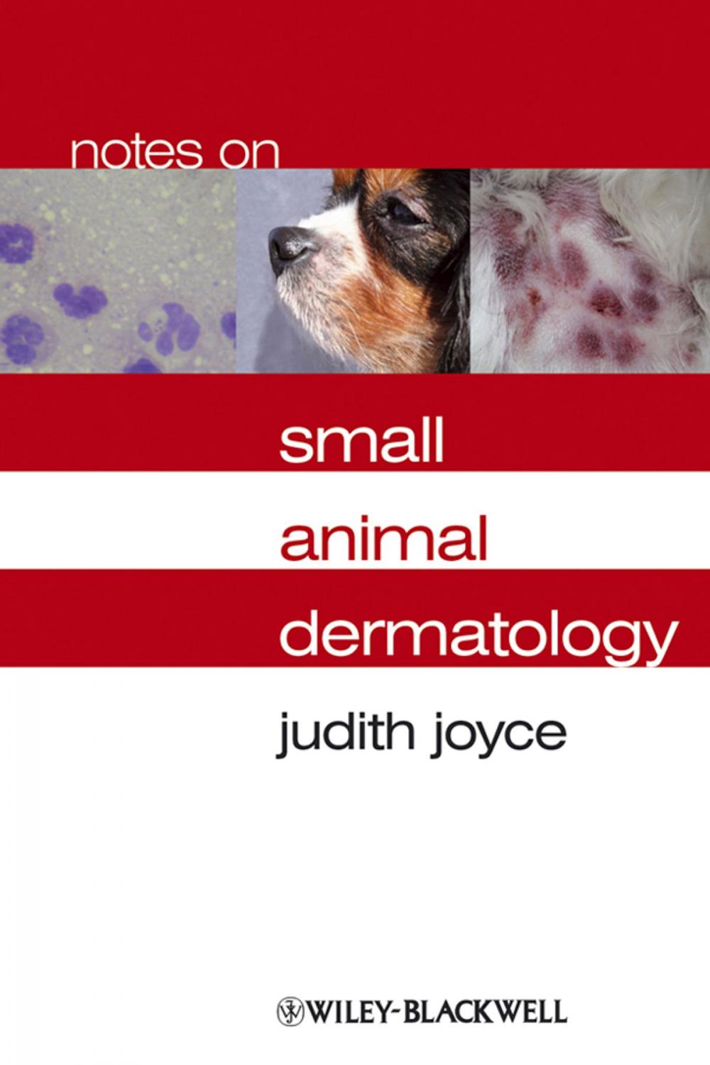 Big bigCover of Notes on Small Animal Dermatology